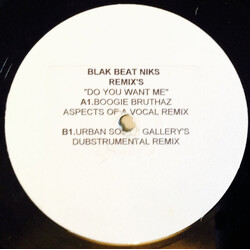 Blak Beat Niks Do You Want Me (The Remixes) Vinyl 12" USED