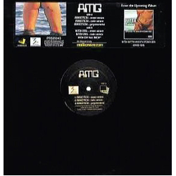 AMG Perfection / Bitch 2001 Vinyl 12" USED