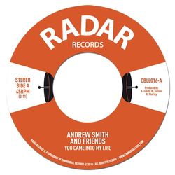 Andrew Smith And Friends You Came Into My Life Vinyl 7" USED