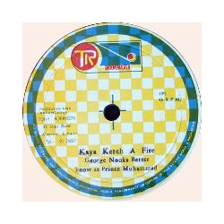 Wayne Jarrett / George Nooks Some Thing On My Mind / Kaya Ketch A Fire Vinyl 12" USED
