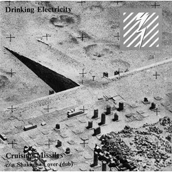 Drinking Electricity Cruising Missiles / Shaking All Over (Dub) Vinyl 7" USED