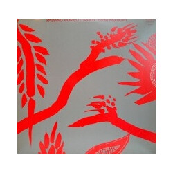 Shuichi Murakami Padang Rumput Vinyl 12" USED