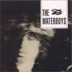 The Waterboys The Waterboys Vinyl LP USED
