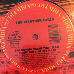 The Weather Girls It's Raining Men / I'm Gonna Wash That Man Right Outa My Hair (Special Version) Vinyl 12" USED