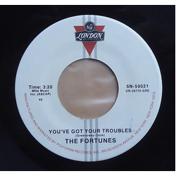 The Fortunes You've Got Your Troubles / Here It Comes Again Vinyl 7" USED