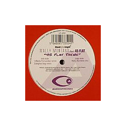 Wally Montana / 45 Flat 45 Flat Theme Vinyl 12" USED