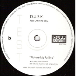 D.U.S.K. / Christine Baily Picture Me Falling Vinyl 12" USED