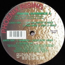 The Montini Experience My House Is Your House (And Your House Is Mine) Vinyl 12" USED
