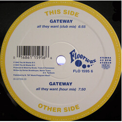 Gateway All They Want Vinyl 12" USED