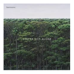 Semisonic You're Not Alone Vinyl 12" USED