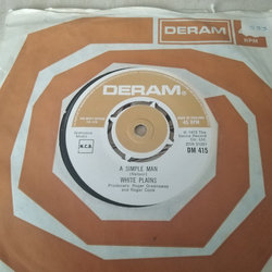 White Plains Ecstasy Vinyl 7" USED