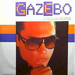 Gazebo Coincidence Vinyl 12" USED