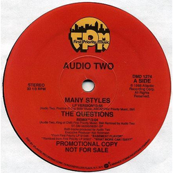 Audio Two Many Styles / The Questions Vinyl 12" USED