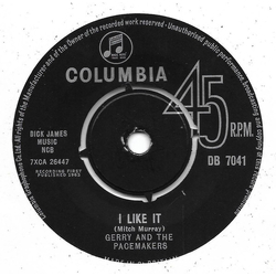 Gerry & The Pacemakers I Like It Vinyl 7" USED