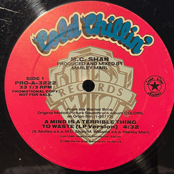 MC Shan A Mind Is A Terrible Thing To Waste Vinyl 12" USED