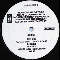 Various Rhythm Zone Sampler Vinyl 12" USED