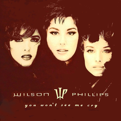 Wilson Phillips You Won't See Me Cry Vinyl 7" USED