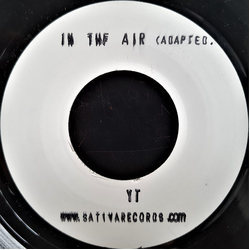 YT In The Air / Reggae Jams Vinyl 7" USED