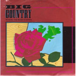 Big Country Where The Rose Is Sown Vinyl 7" USED