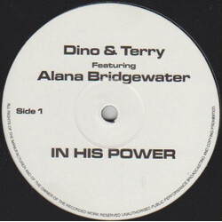 Dino & Terry In His Power / Ride The Storm Vinyl 12" USED