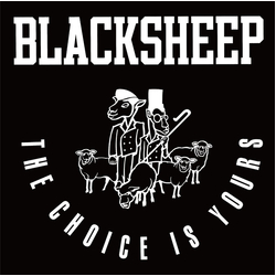 Black Sheep The Choice Is Yours Vinyl 7" USED