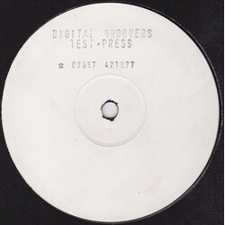 The Digital Groovers Definition Of Love / Nothing But The Groove Vinyl 12" USED