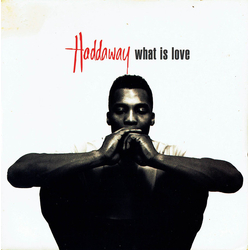 Haddaway What Is Love Vinyl 7" USED