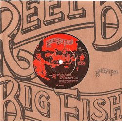 Reel Big Fish Where Have You Been? Vinyl 7" USED