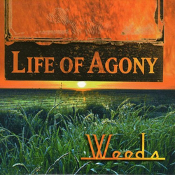 Life Of Agony Weeds Vinyl 7" USED