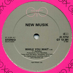 New Musik While You Wait / From The Village / Guitars Vinyl 12" USED