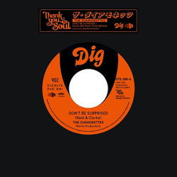 The Diamonettes Don't Be Surprised / Rules Are Meant To Be Broken Vinyl 7" USED