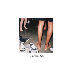 Samuel Seo Vulture Vinyl 7" USED