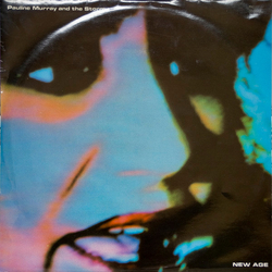 Pauline Murray And The Storm New Age Vinyl 12" USED