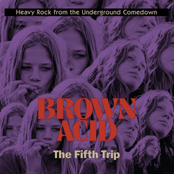 Various Brown Acid: The Fifth Trip (Heavy Rock From The Underground Comedown) Vinyl LP USED