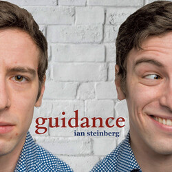 Ian Steinberg Guidance Vinyl LP USED
