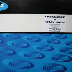 BK Stay High Vinyl 12" USED