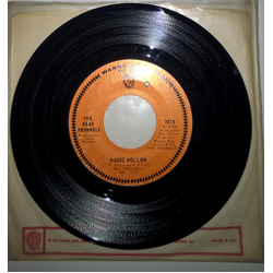 The Beau Brummels Lower Level / Magic Hollow Vinyl 7" USED