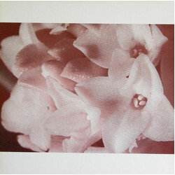 Masonna Masonna Vs. Bananamara Vinyl LP USED