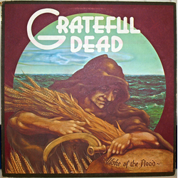The Grateful Dead Wake Of The Flood Vinyl LP USED