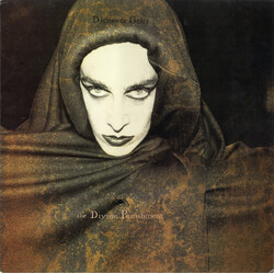 Diamanda Galás The Divine Punishment Vinyl LP USED