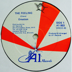 Diana (22) The Feeling Vinyl 12" USED