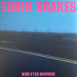 Turin Brakes Wide-Eyed Nowhere Vinyl LP USED