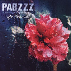 Pabzzz After The Rain Vinyl LP USED