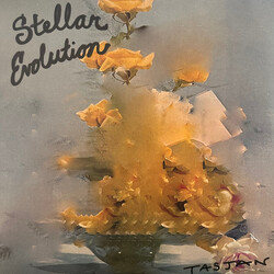 Aaron Lee Tasjan Stellar Evolution Vinyl LP USED