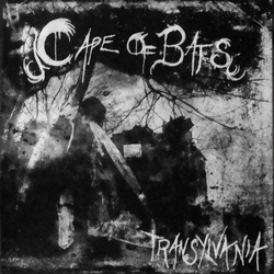 Cape Of Bats Transylvania Vinyl 7" USED