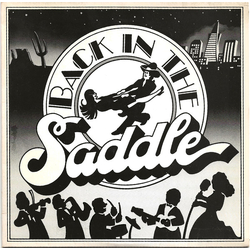 Back In The Saddle Back In The Saddle Vinyl 7" USED
