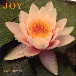 Paul Greaver Joy Vinyl LP USED