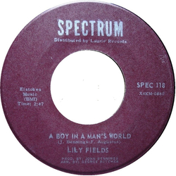 Lily Fields A Boy In A Man's World Vinyl 7" USED
