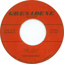 Grenadene Too Late Vinyl 7" USED