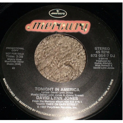 David Lynn Jones Tonight In America Vinyl 7" USED